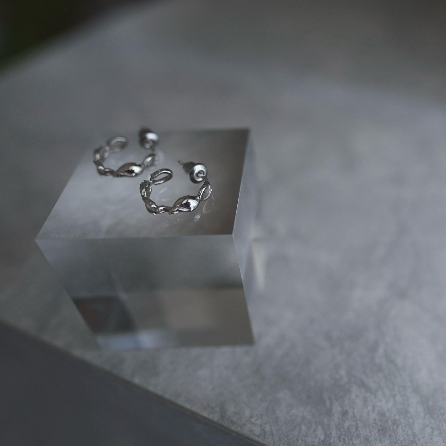 Horse shoe pierce earring /hoop【予約】