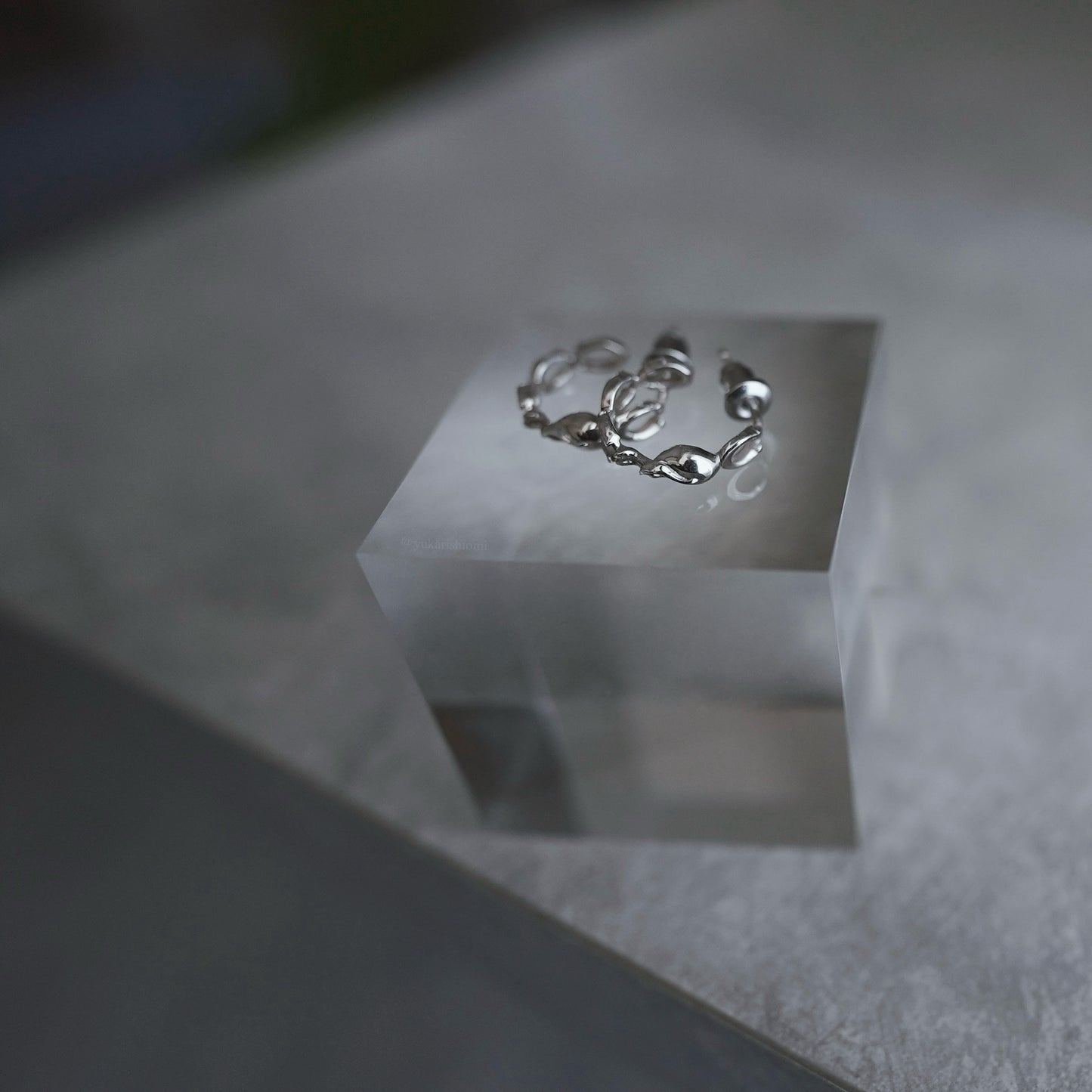Horse shoe pierce earring /hoop【予約】