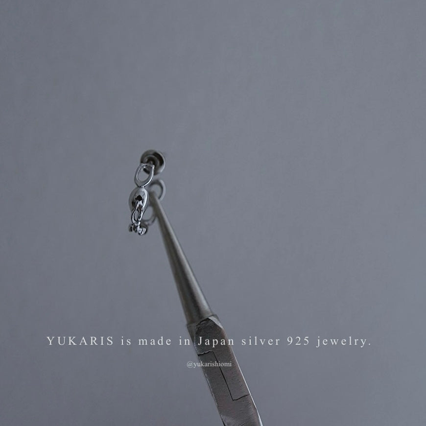 Horse shoe pierce earring /hoop【予約】