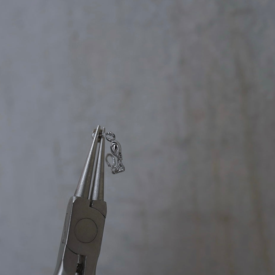 Horse shoe pierce earring /hoop【予約】