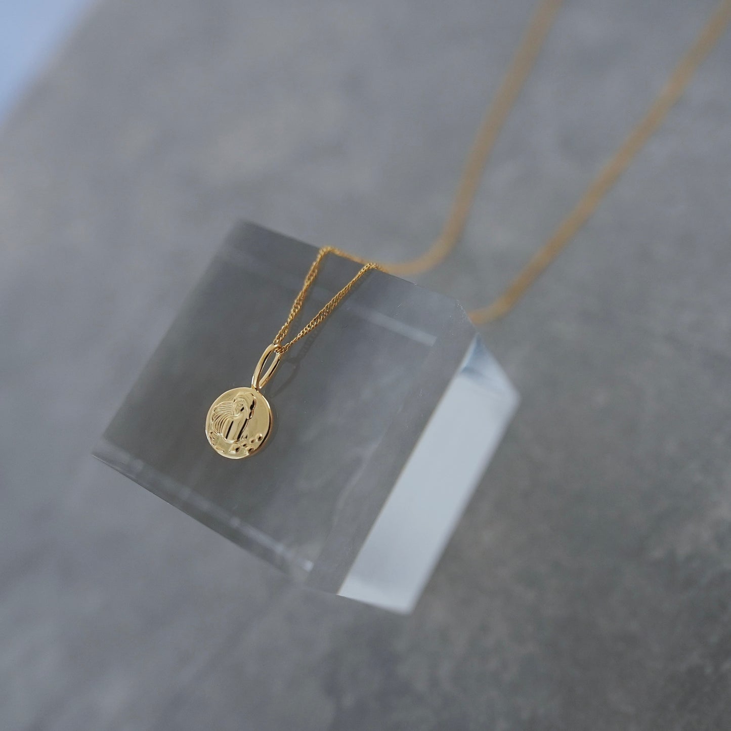 gold 「水」 Water coin necklace.【予約】