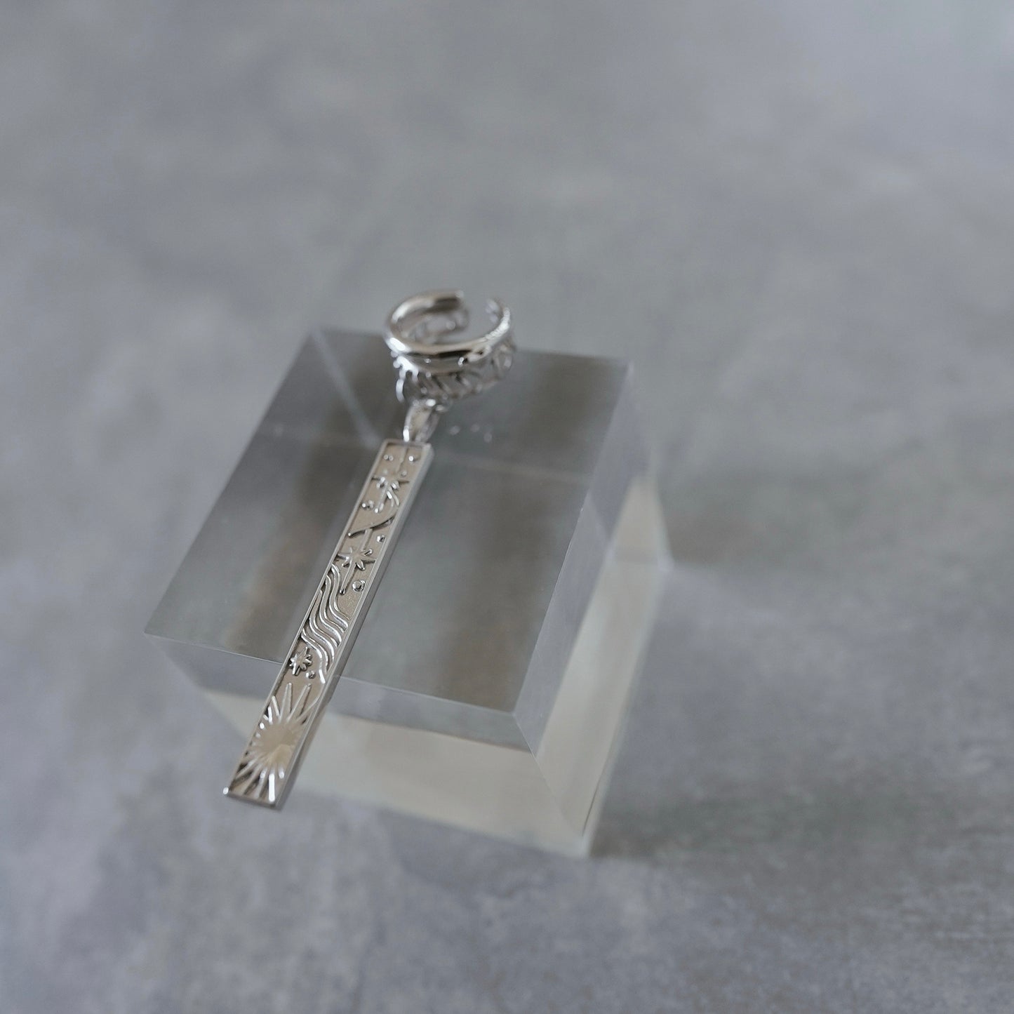 C’est la vie – Within Special Edition イヤーカフ